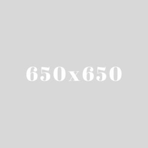 650x650