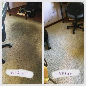 eden prarie carpet cleaning job