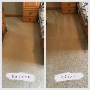 maple grove carpet cleaning