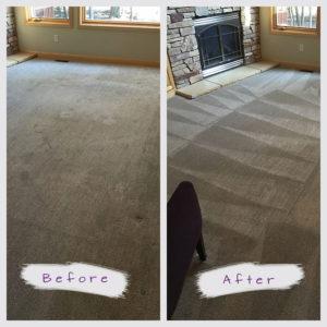 plymouth carpet cleaning