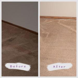 st paul carpet cleaning job