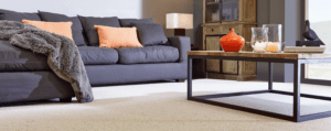 Modern Living Room Carpet