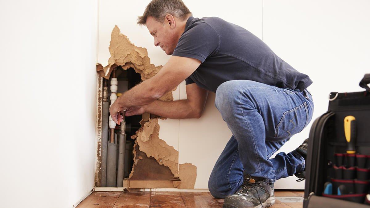 Why water damage needs to be handled quick