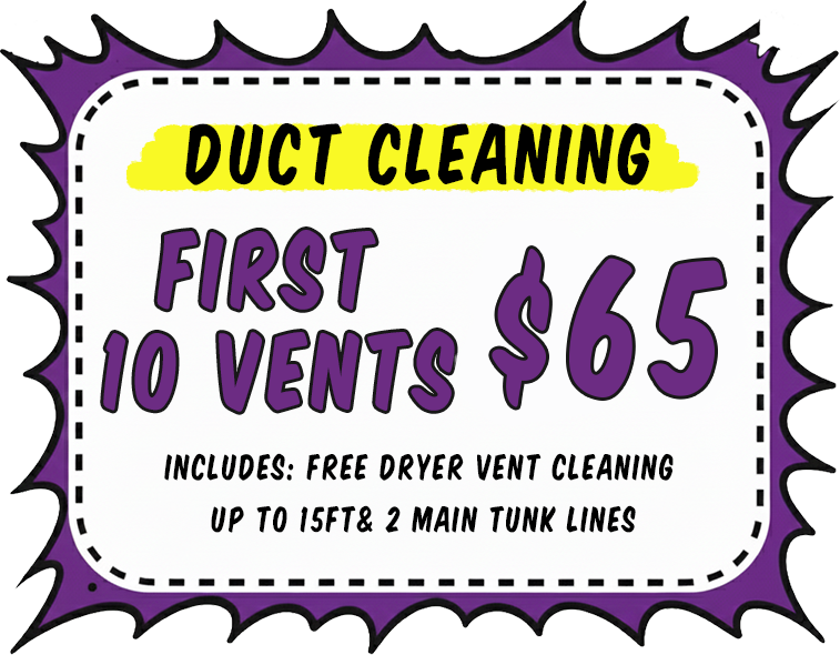 DUCT CLEANING 65